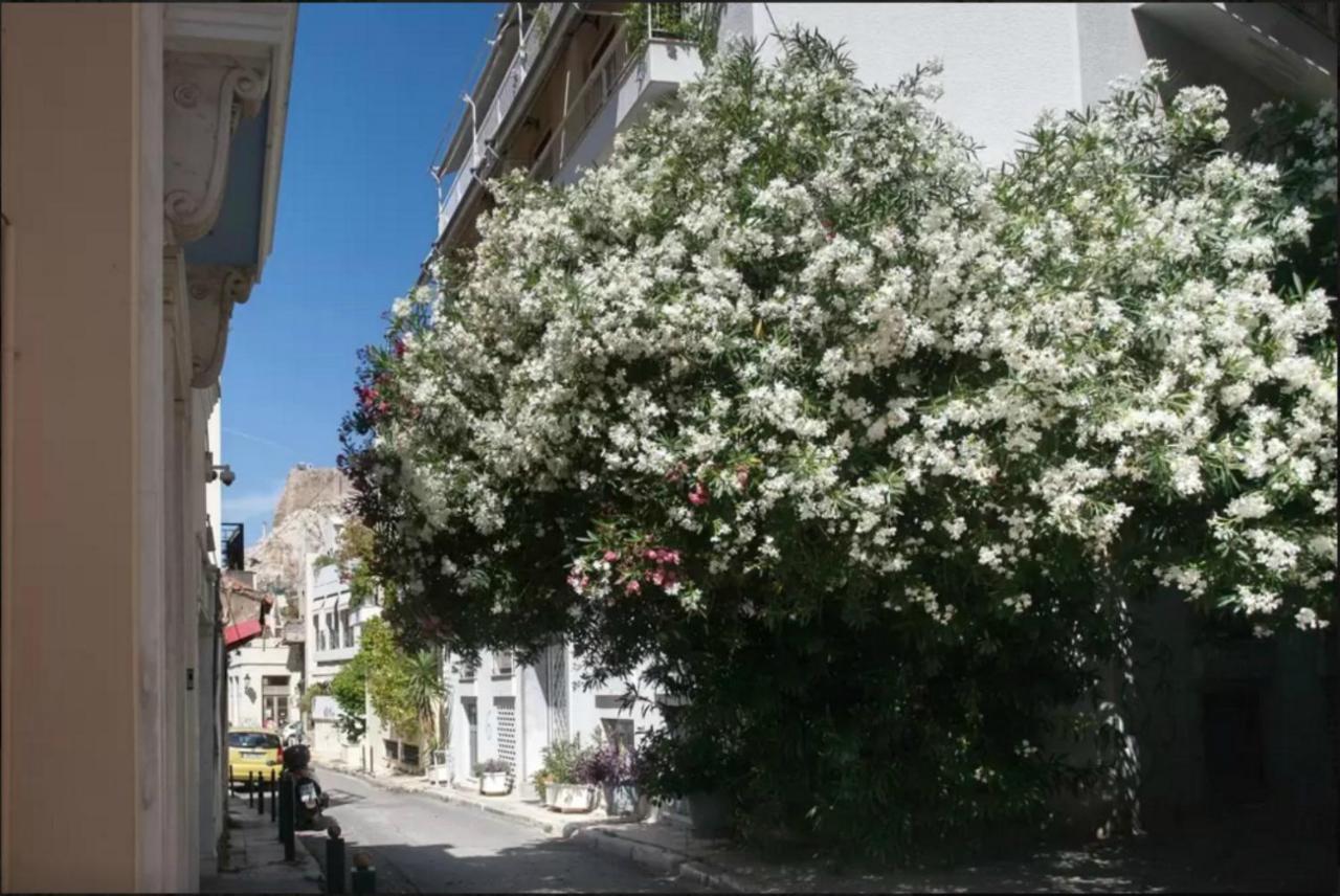 By The Acropolis, In The Heart Of Plaka! Lägenhet Aten Exteriör bild